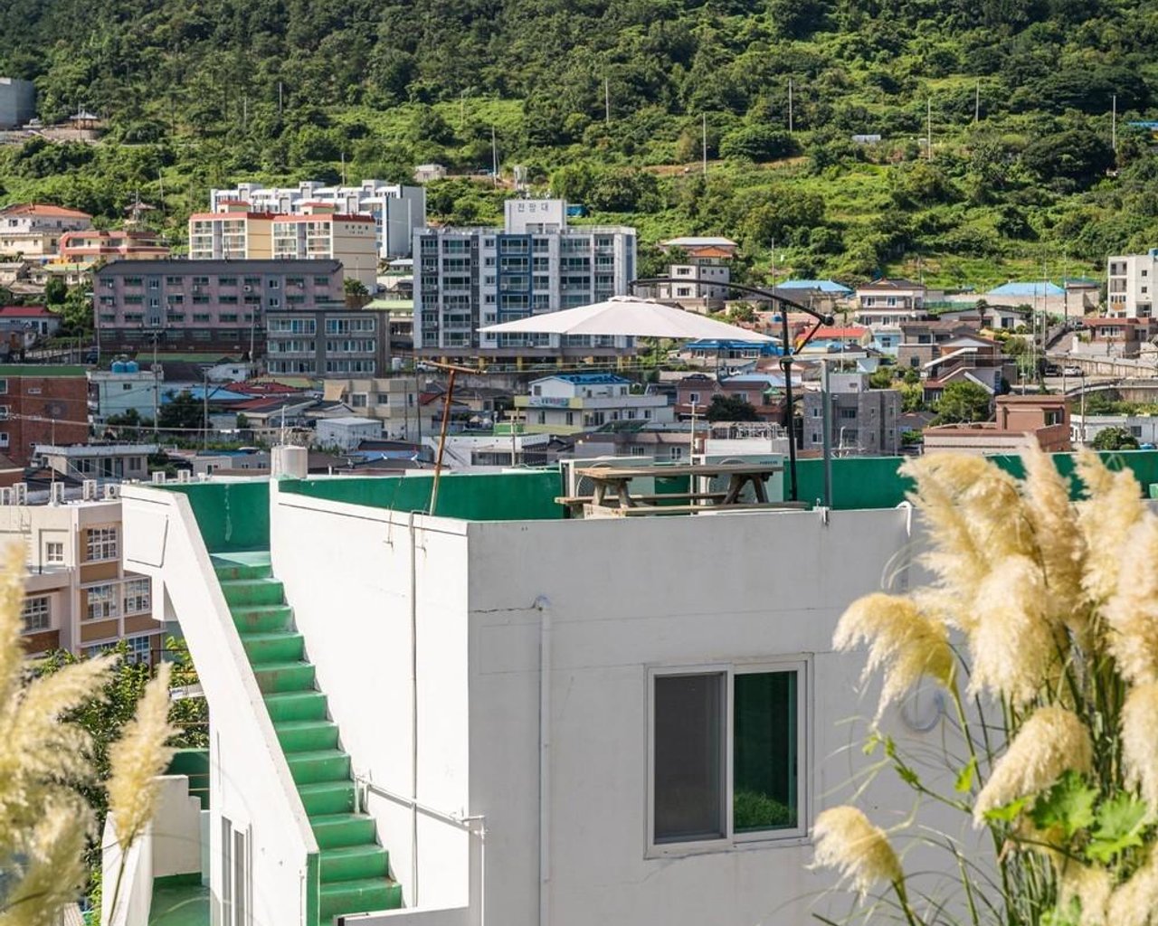 전경