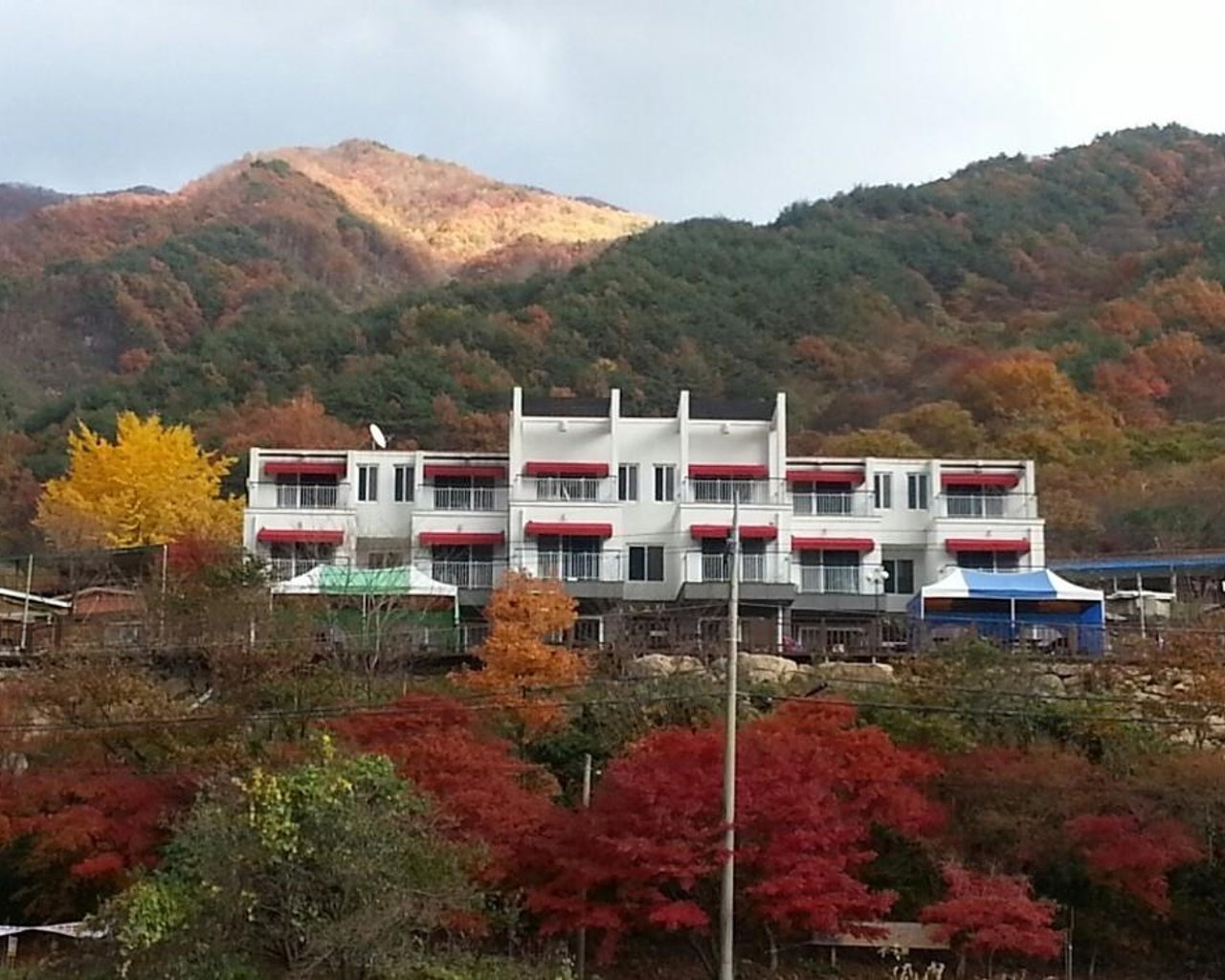 전경