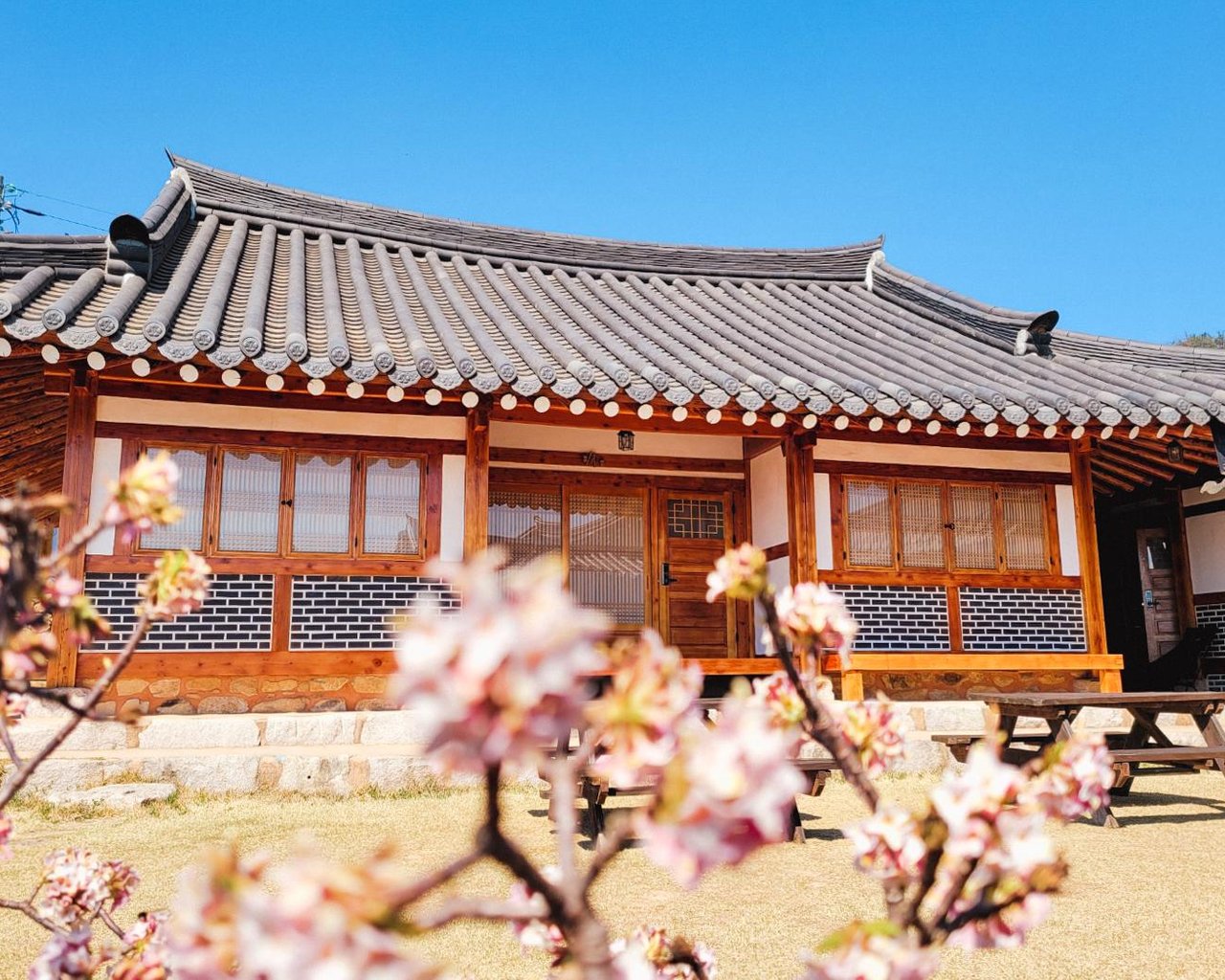 전경