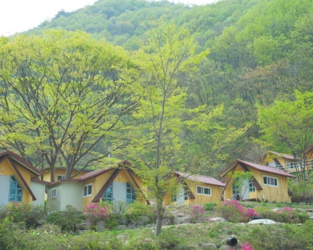 전경