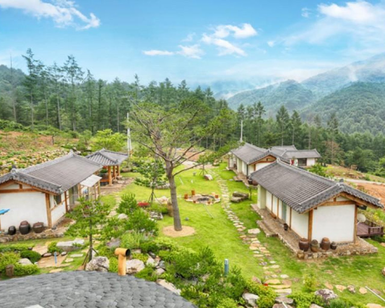 전경