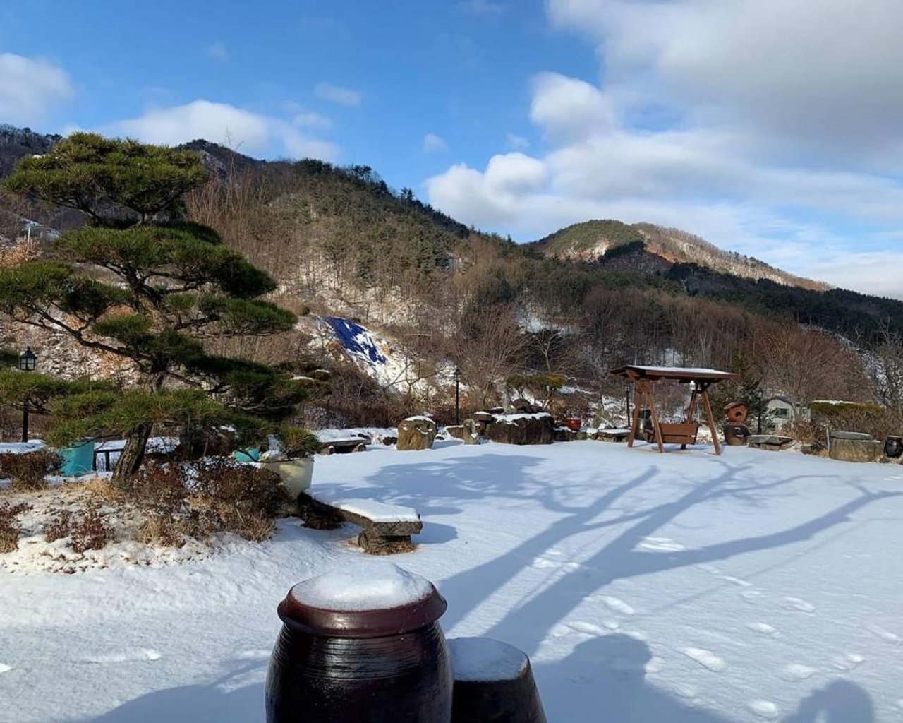 전경