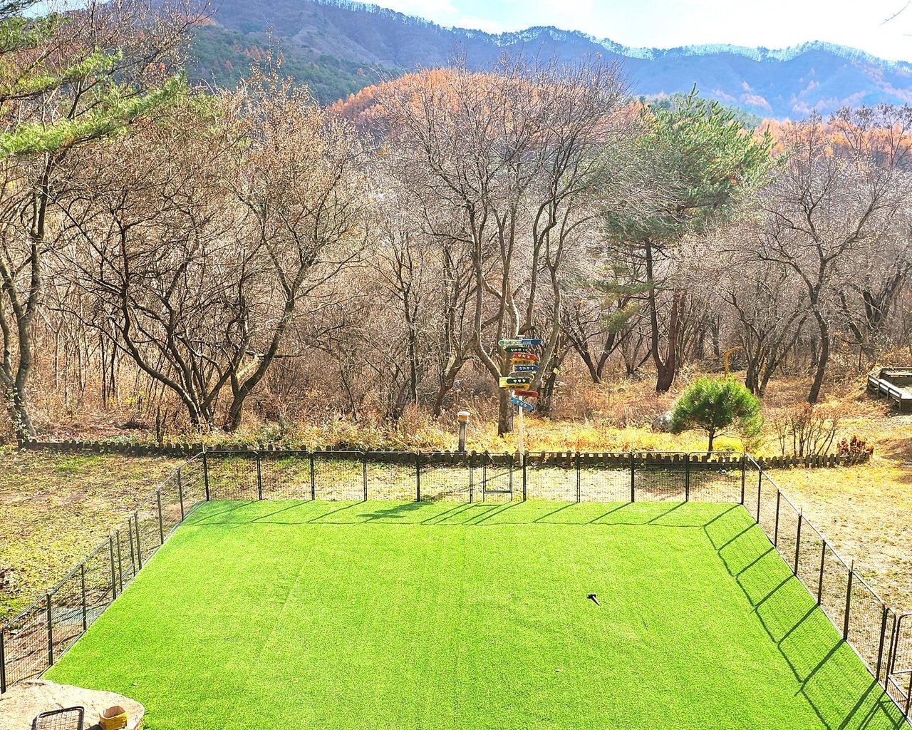 전경