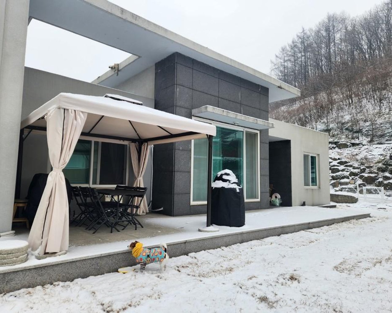 전경