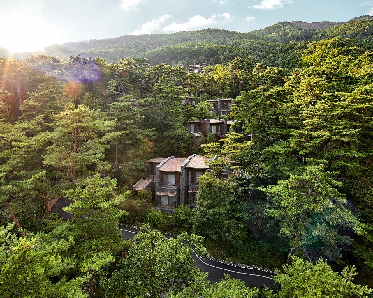 전경