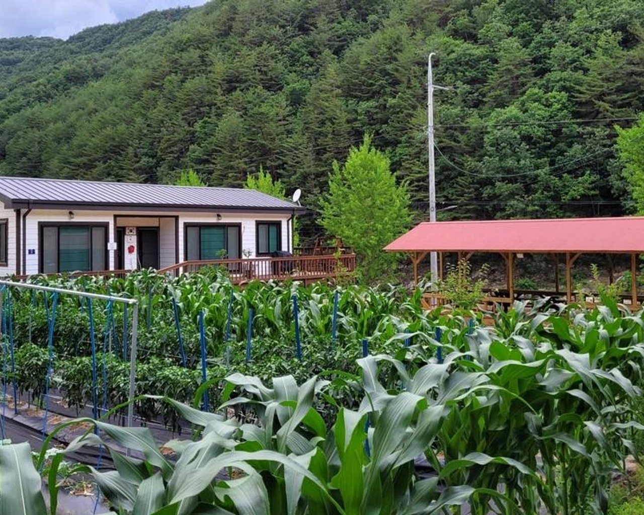 전경