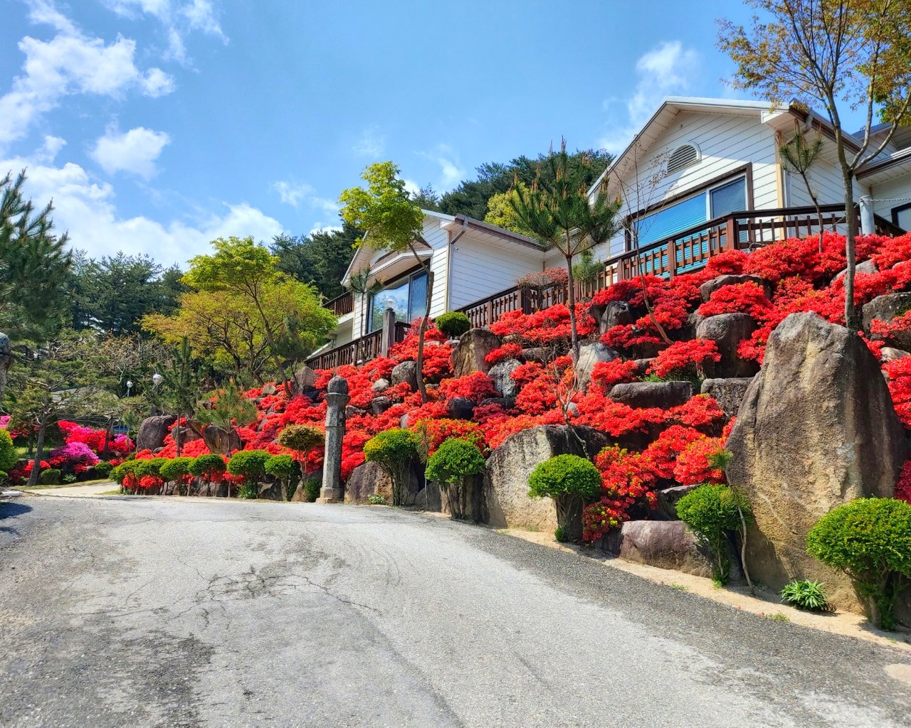 전경