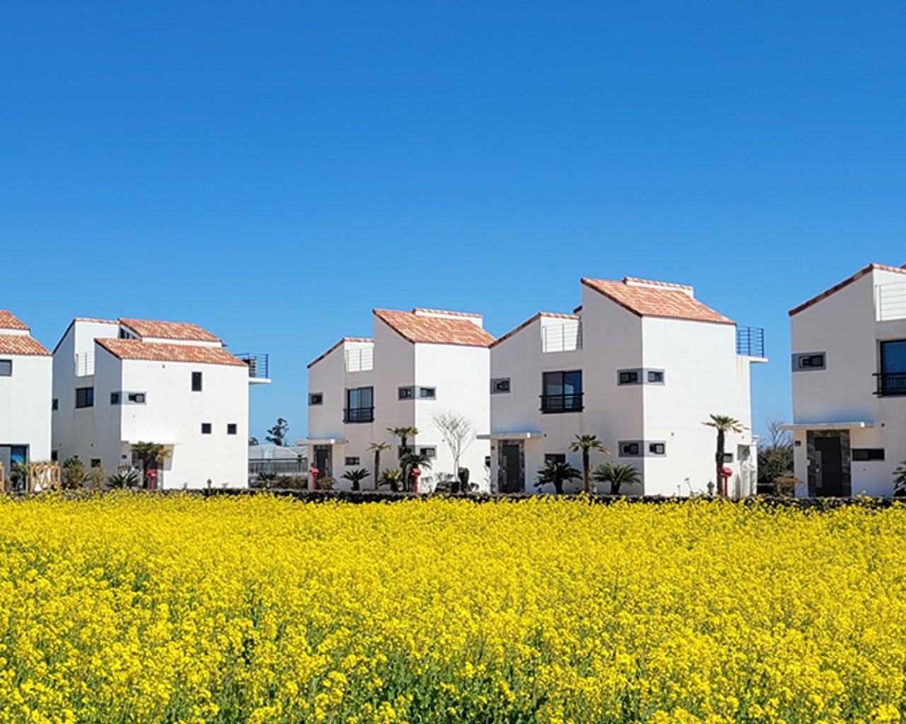 전경