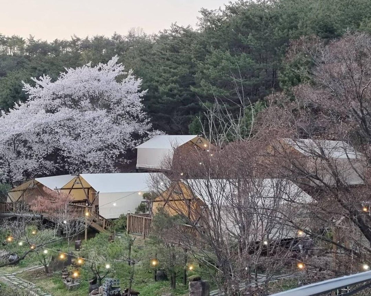 전경