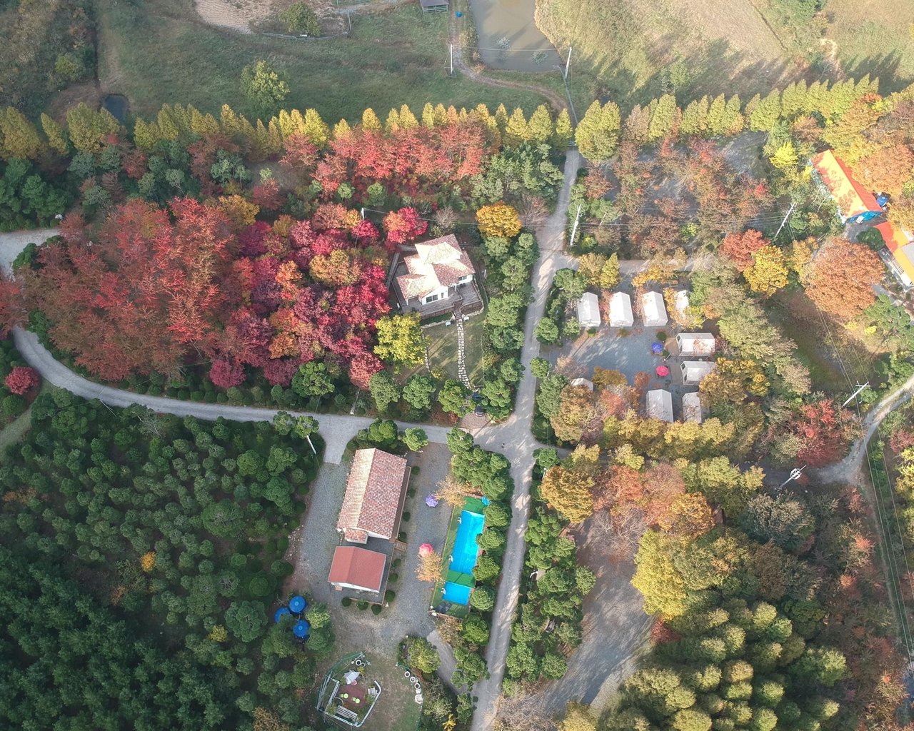 전경
