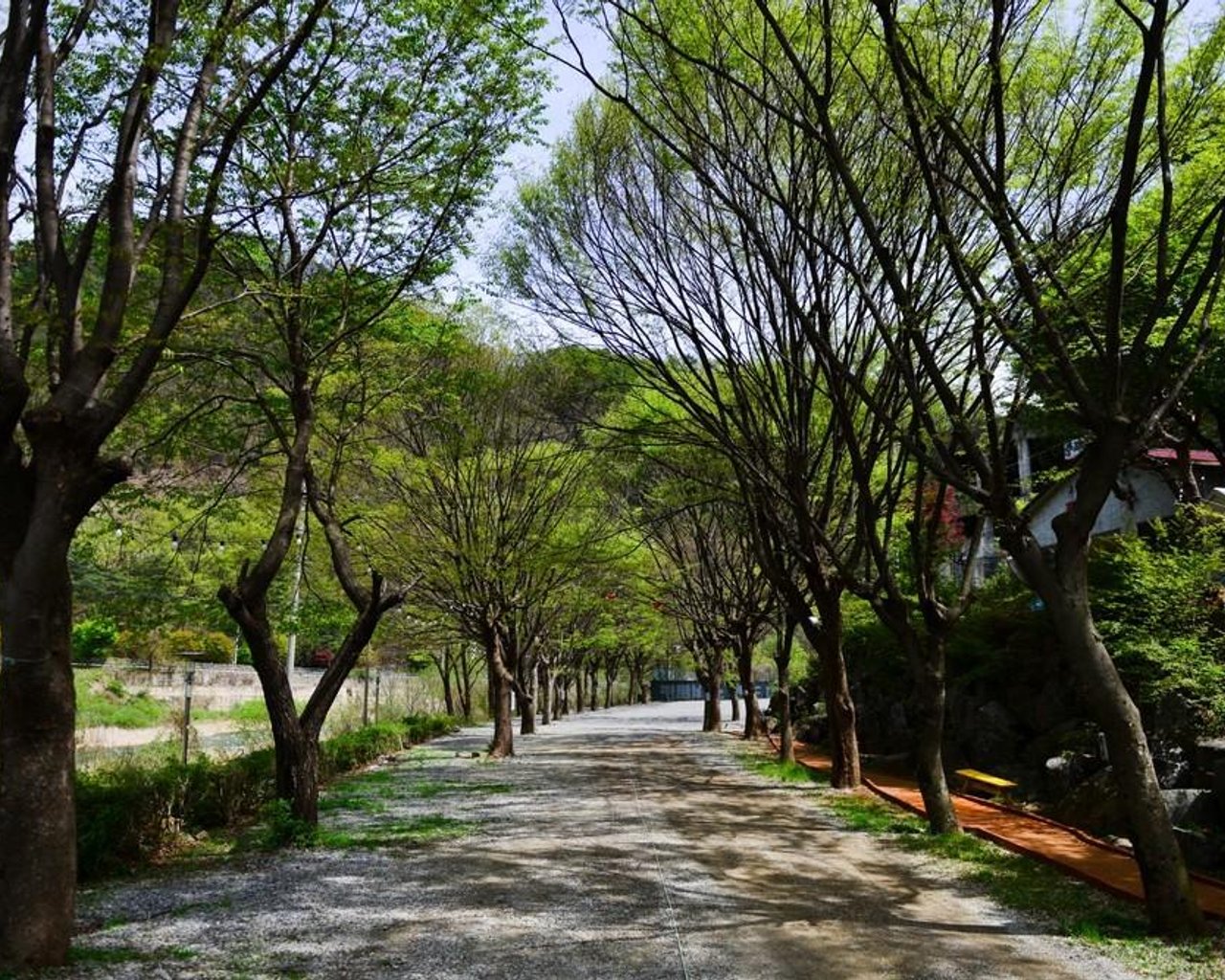 전경
