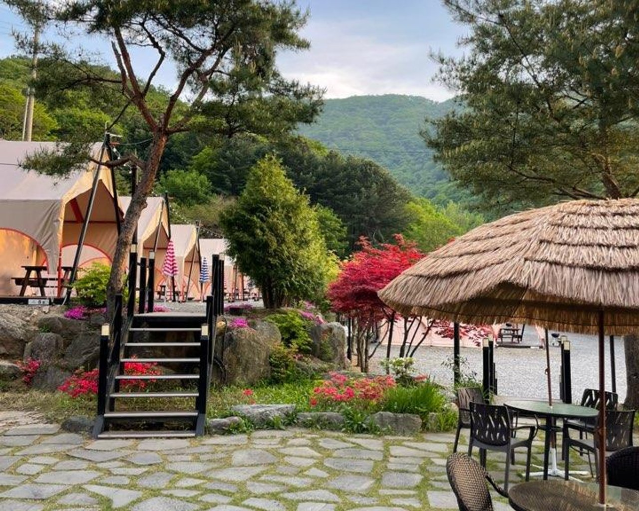 전경