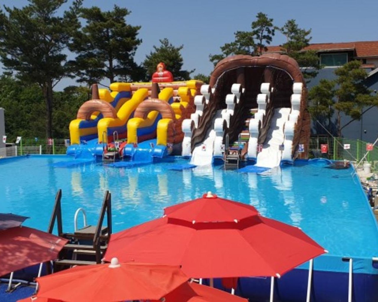 전경