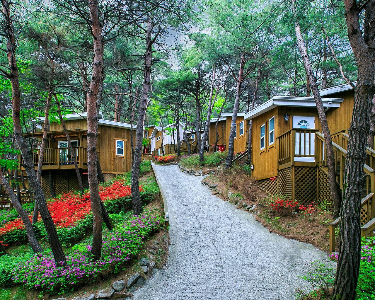 전경
