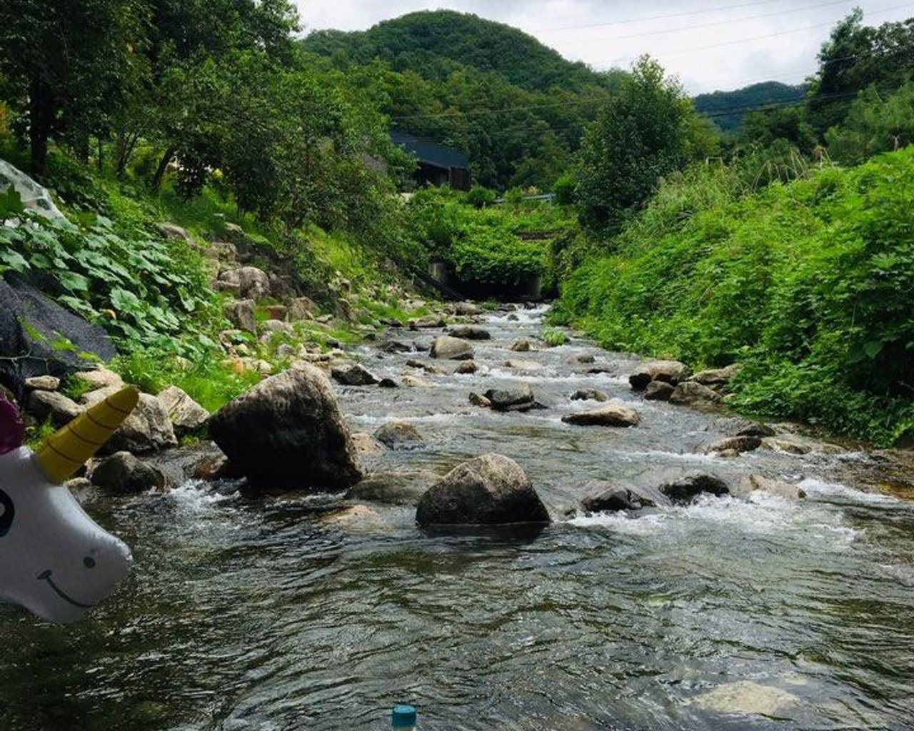전경