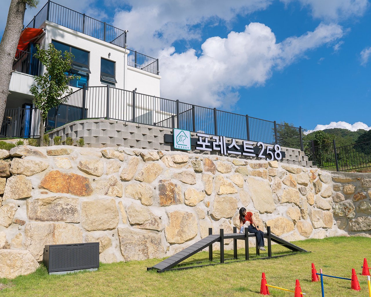 전경