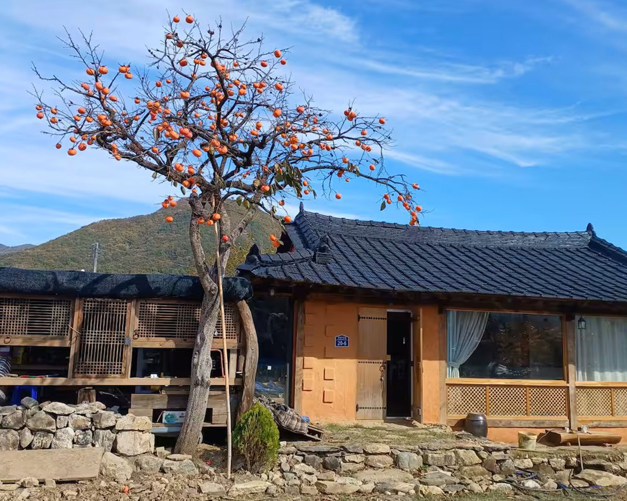 전경