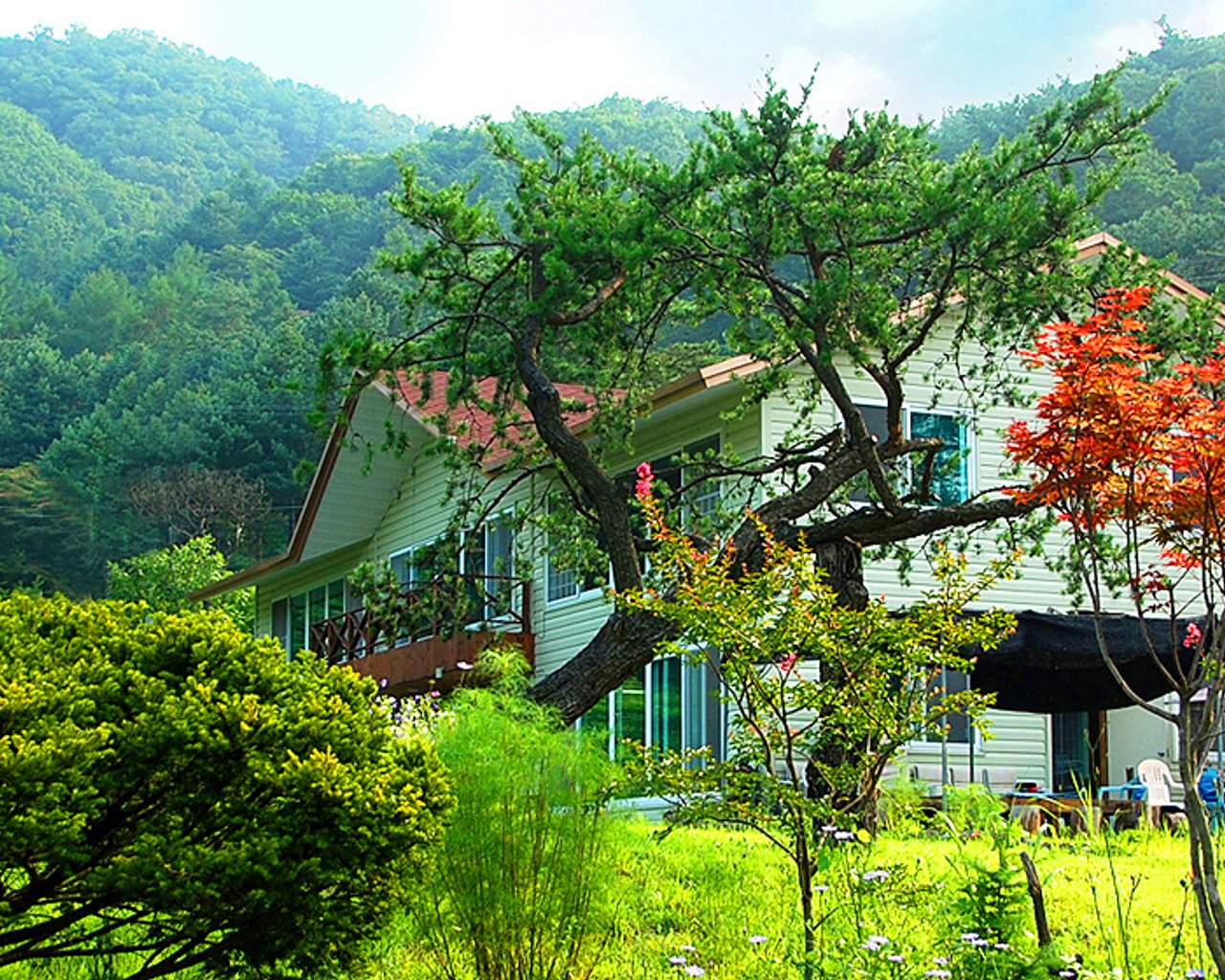 전경