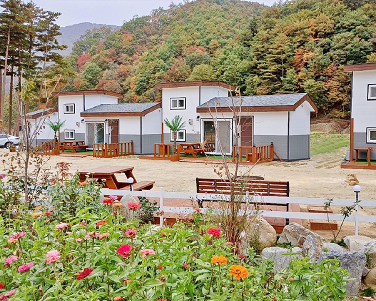 전경
