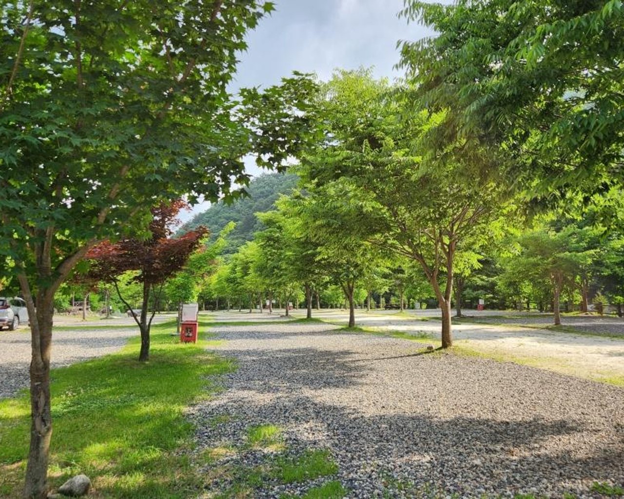 전경