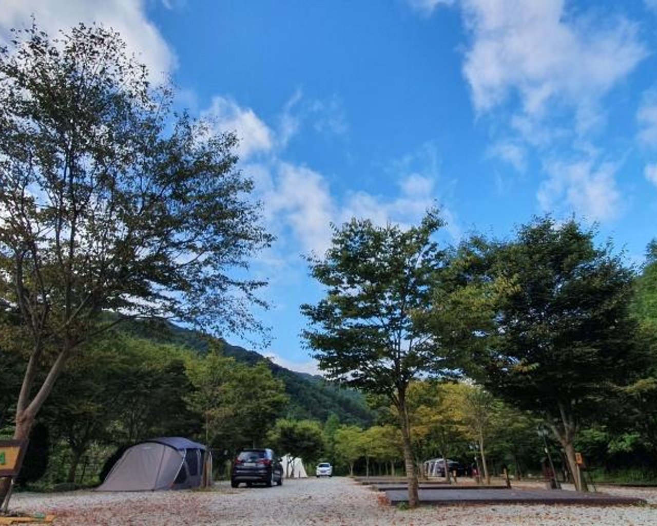 전경