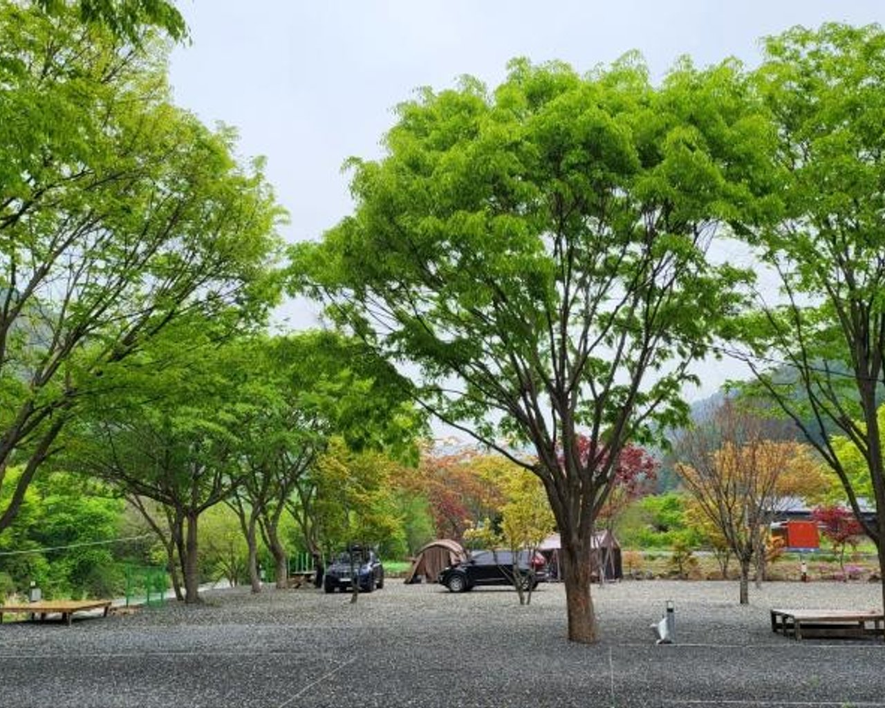 전경