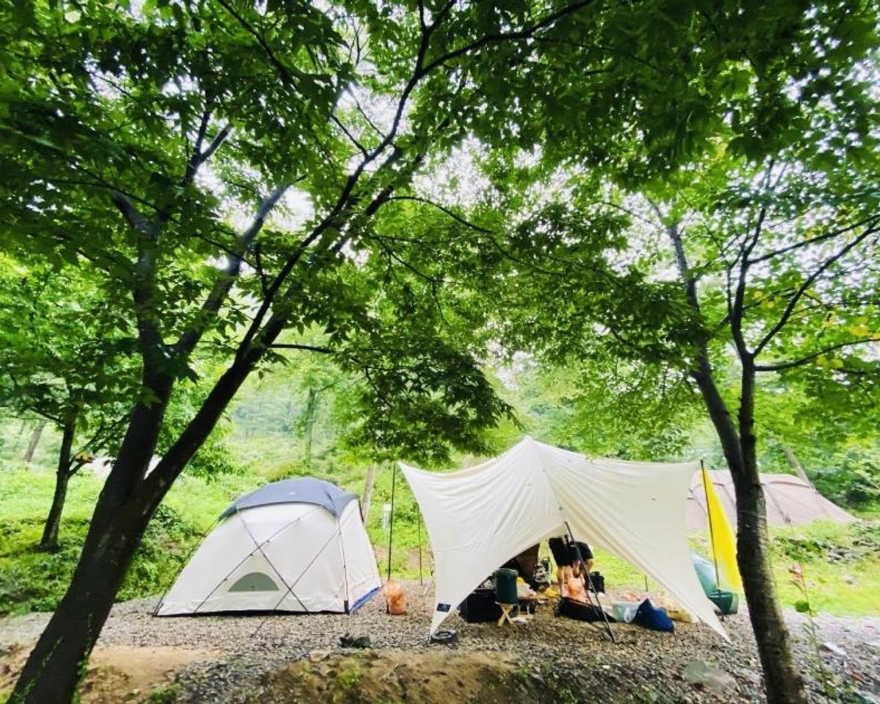 전경