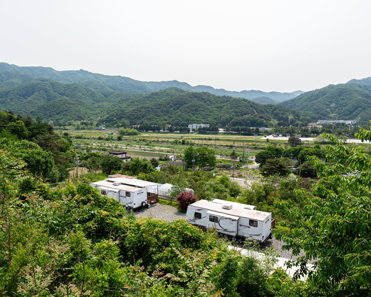 전경