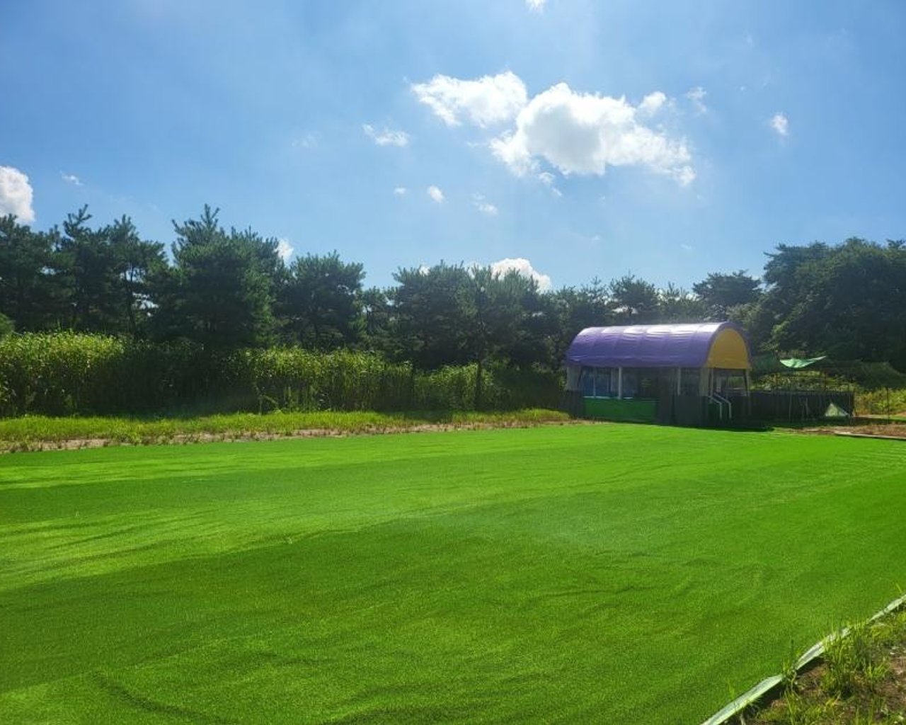축구장