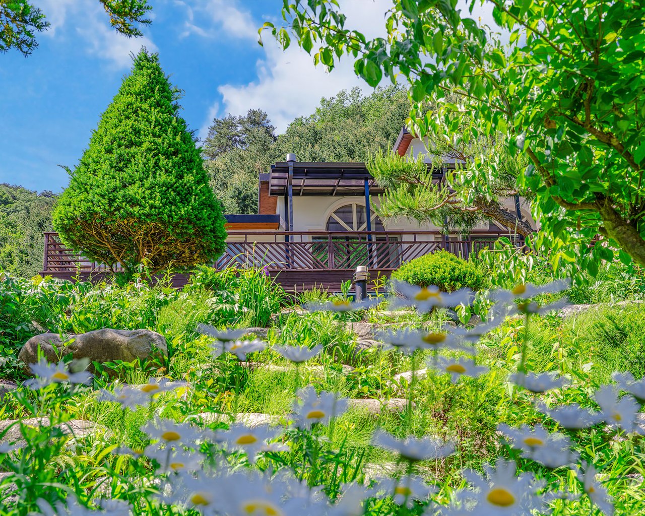 전경