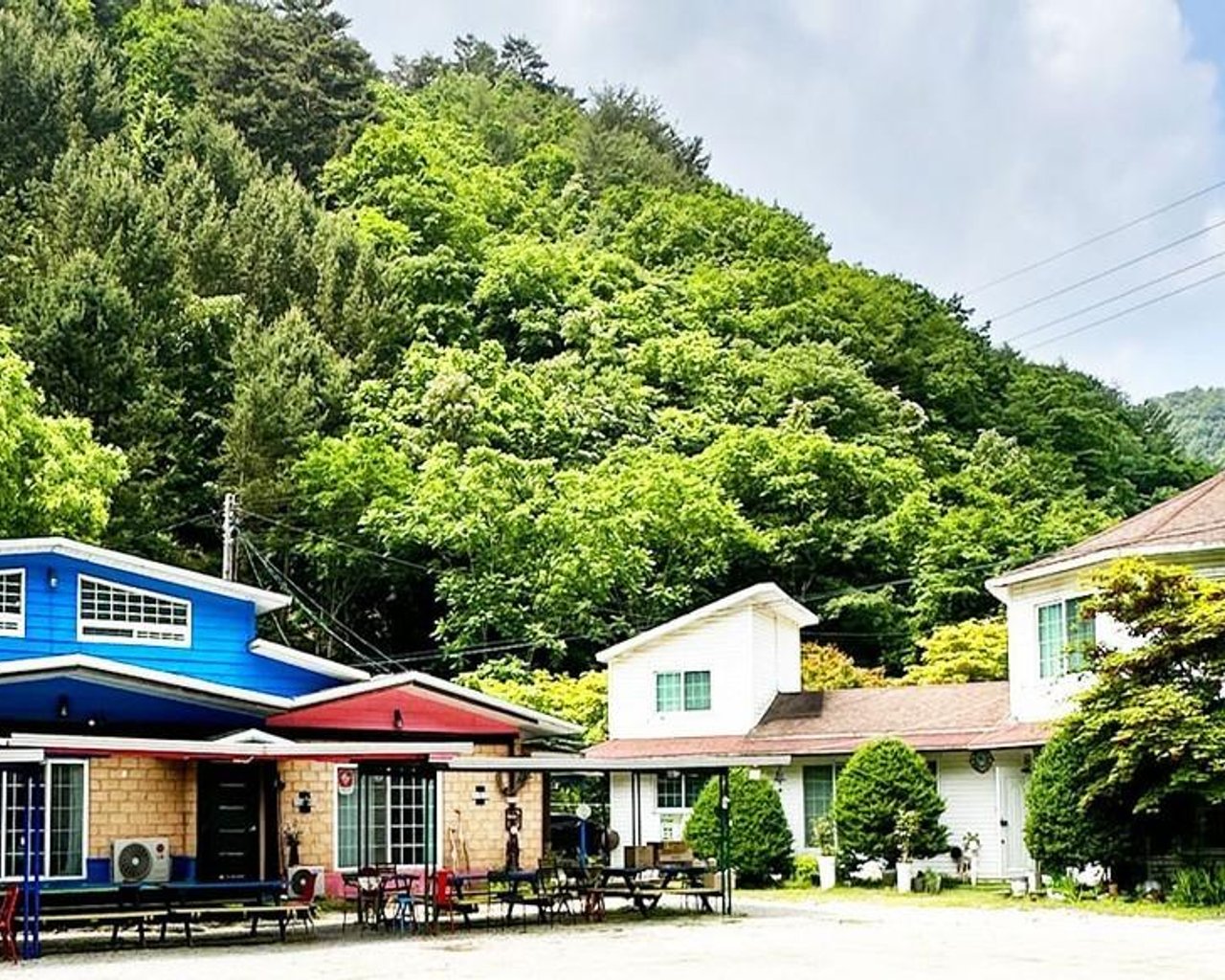 전경