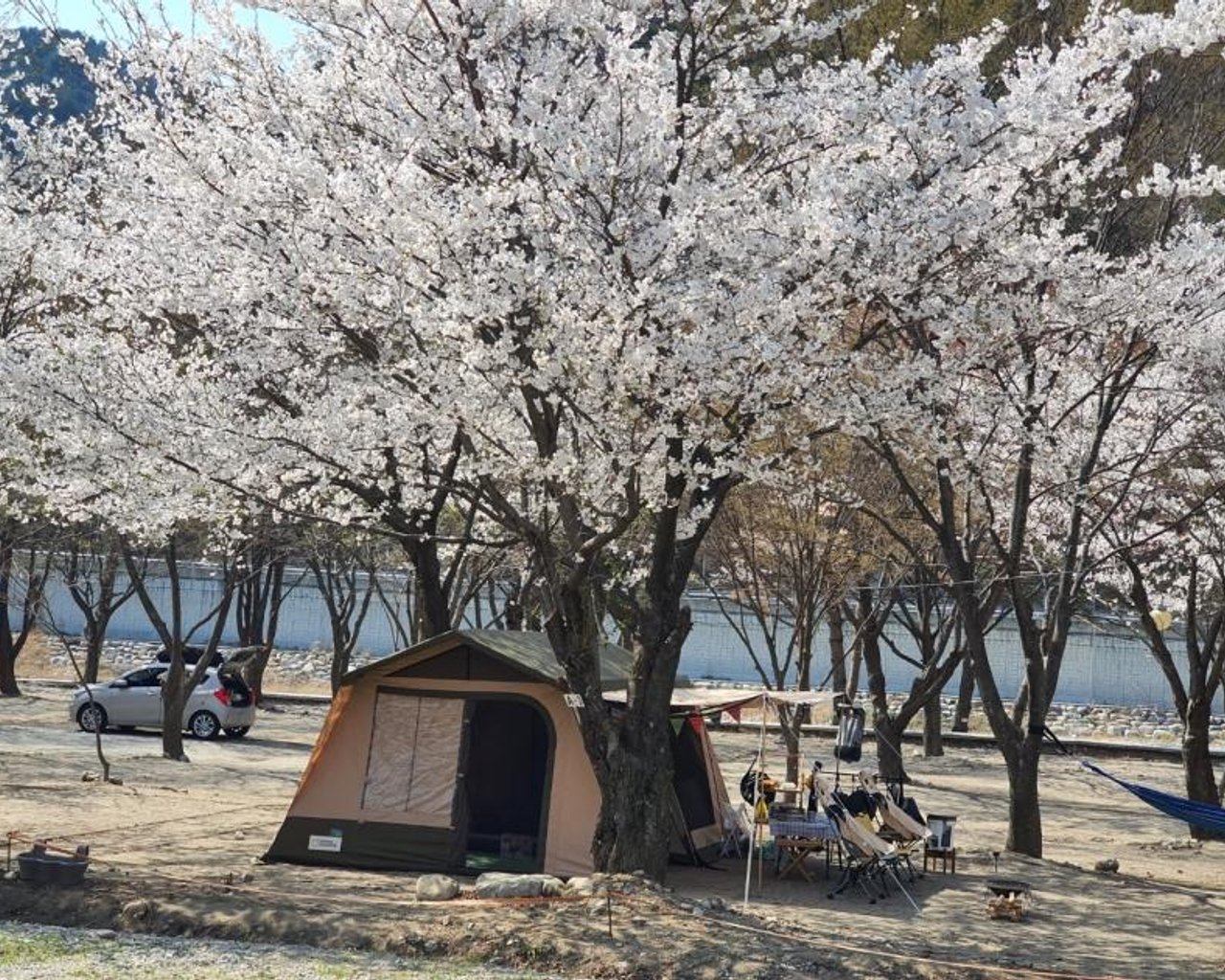 전경