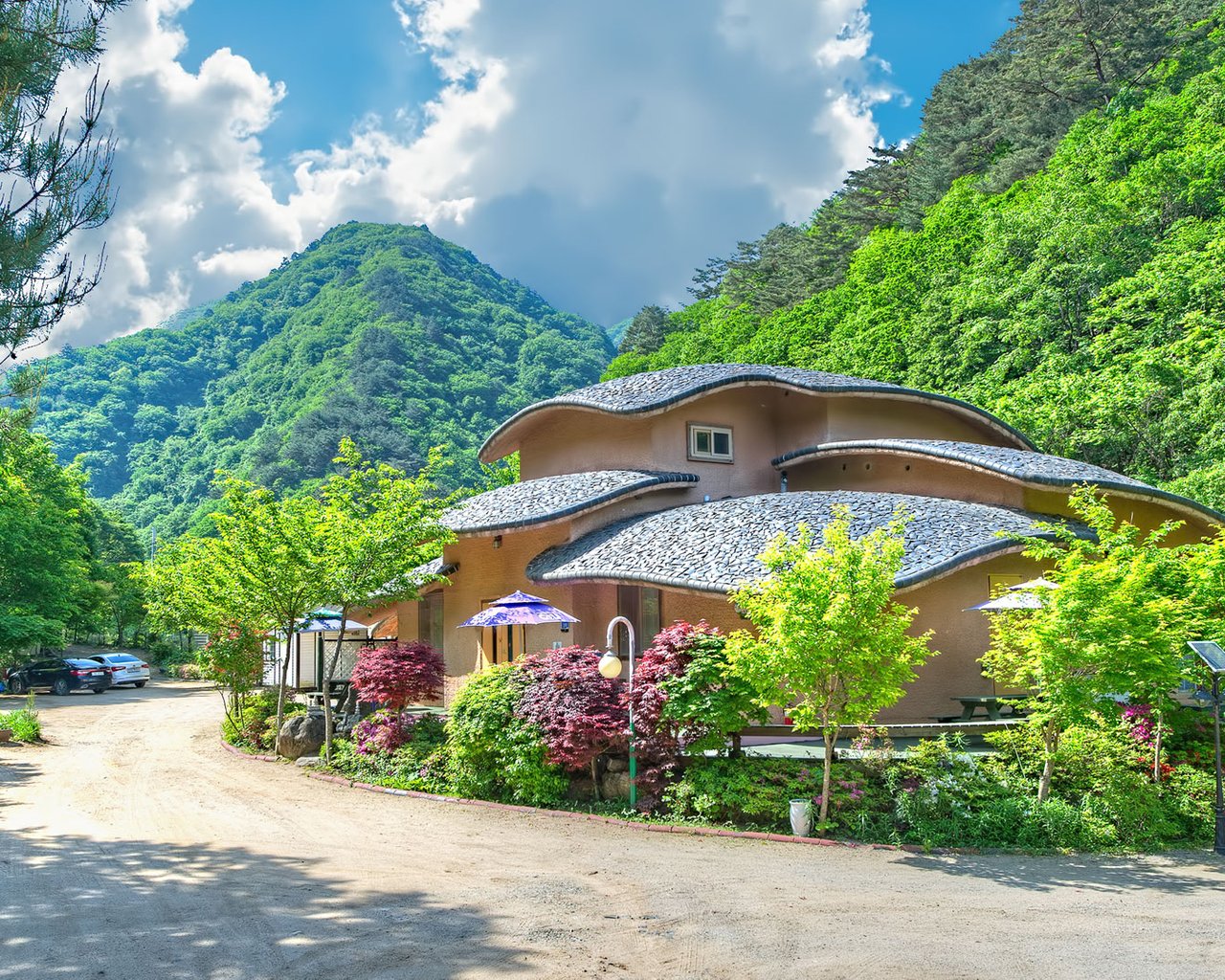 전경