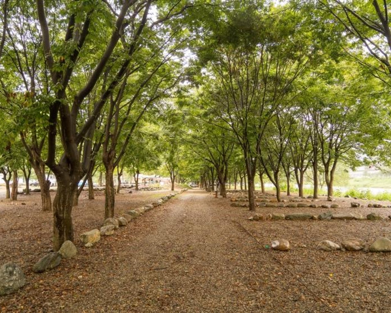 전경