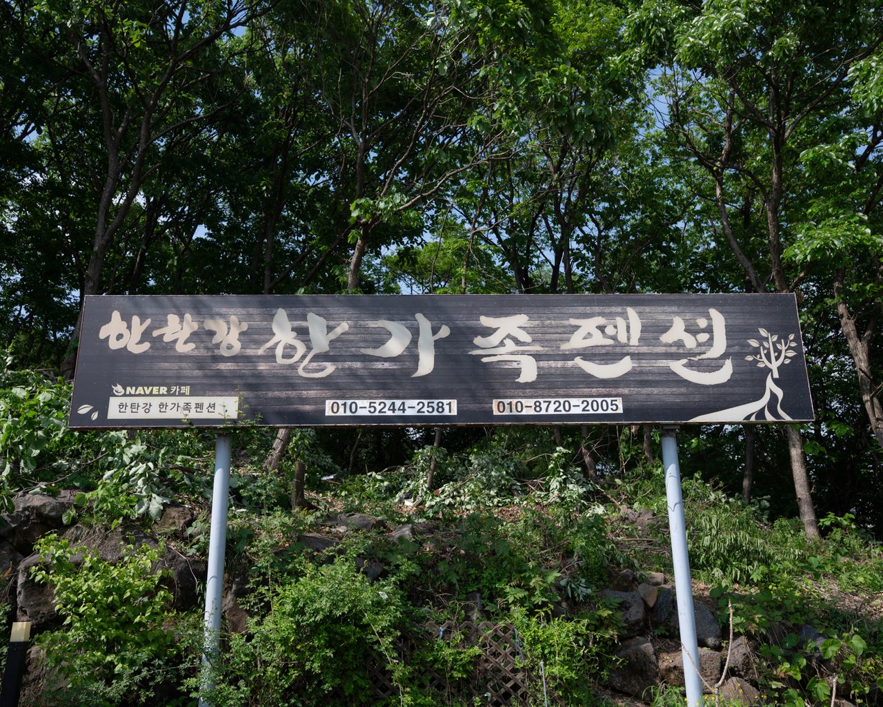 전경