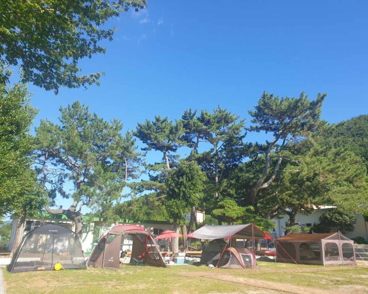 전경