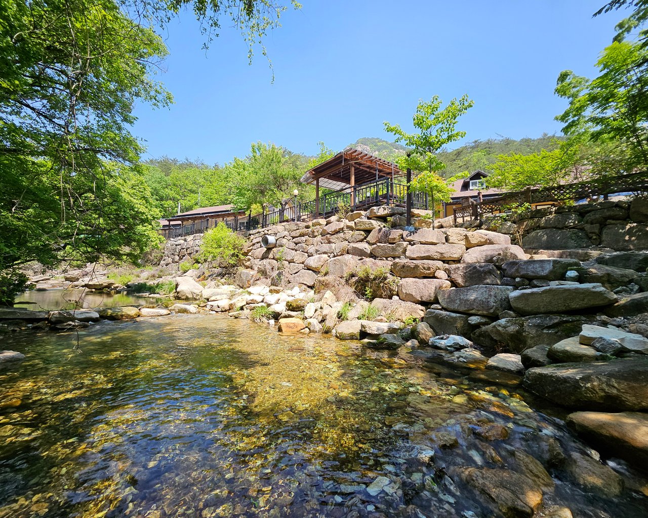전경