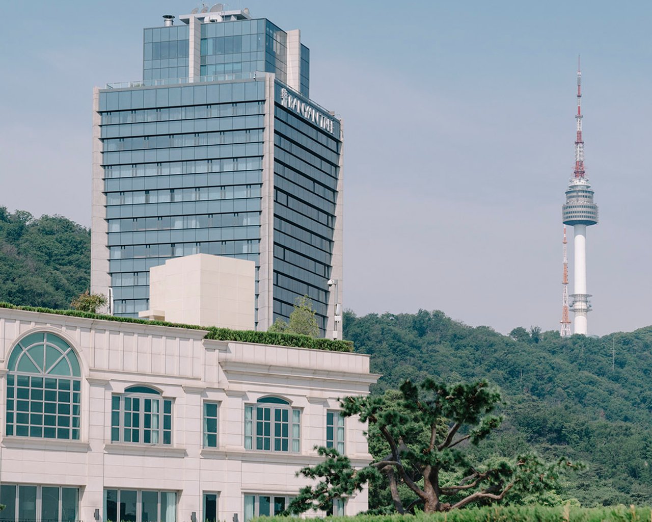 대표 사진