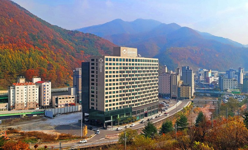 정선 인투라온 호텔