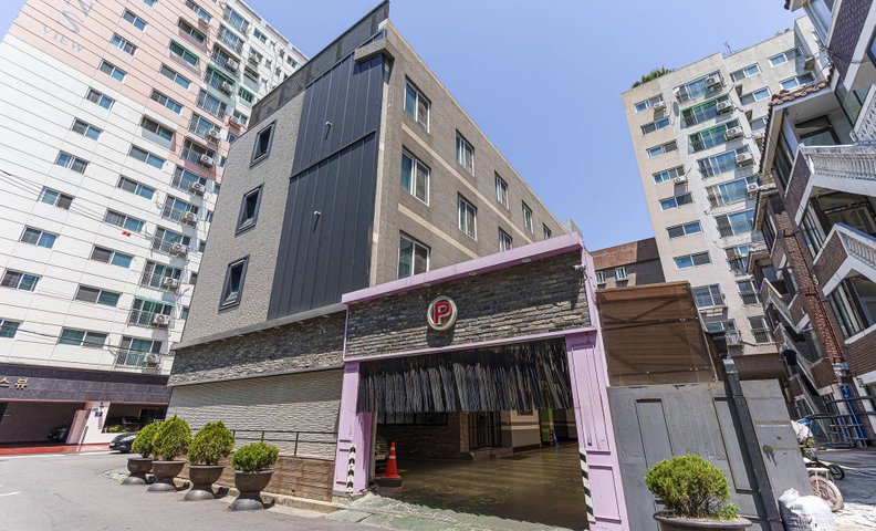 석남 소피아