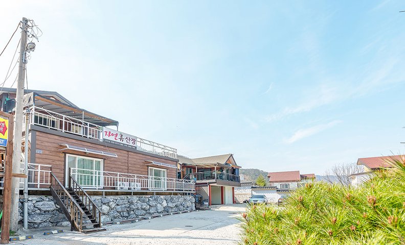 괴산 자연휴산장펜션