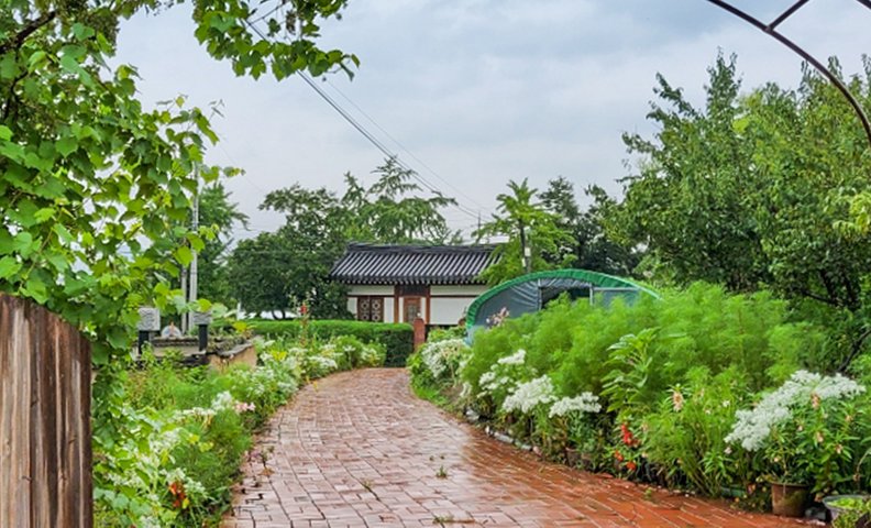 안동 독채 금서산방