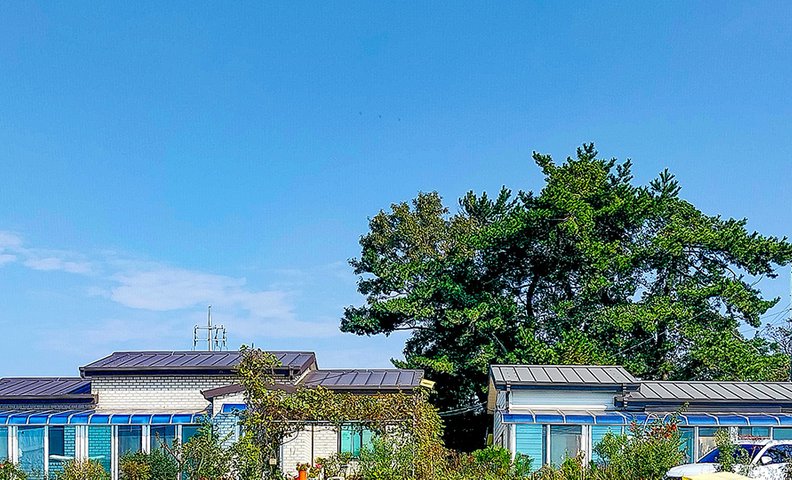 고창 포시즌 팜스테이