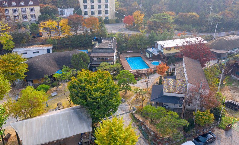 양주 고고씽