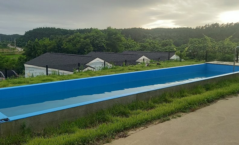 태안 노는개제일좋아