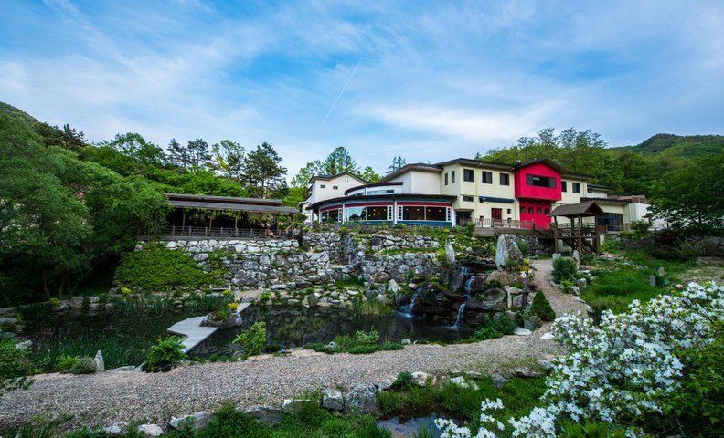 충주 깊은산속옹달샘