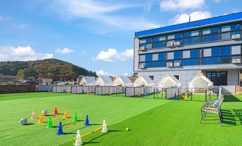 남해 댕댕이 애견 펜션 블루