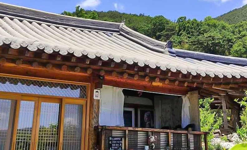 담양 살구나무 한옥민박