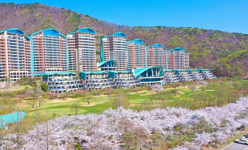 소노펠리체 비발디파크