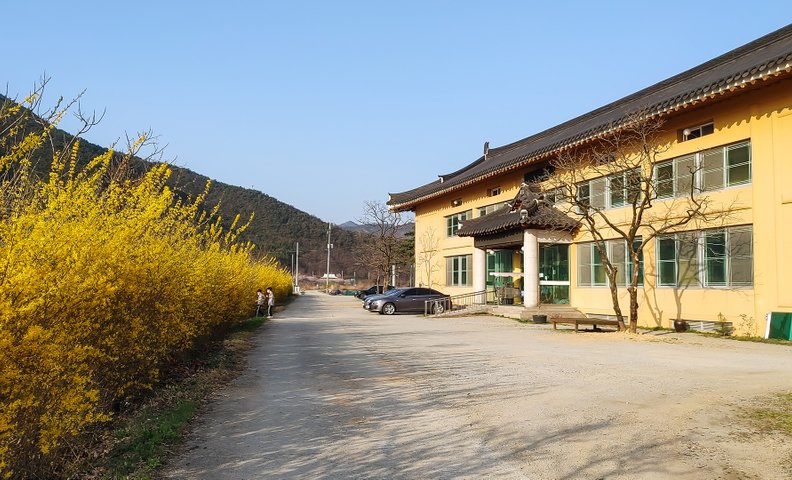 보은 정이품송캠핑장펜션